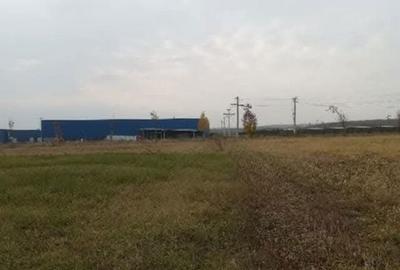 Spațiu comercial, în Central - 5