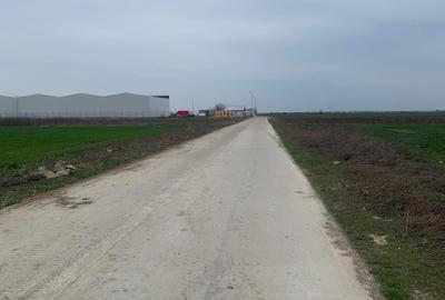 Teren Construcții intravilan de 10000 mp, în Afumați - 5