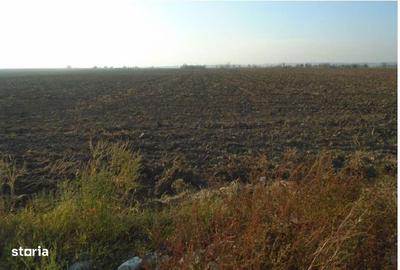 Teren de 1931 mp, în Nădrag - 3