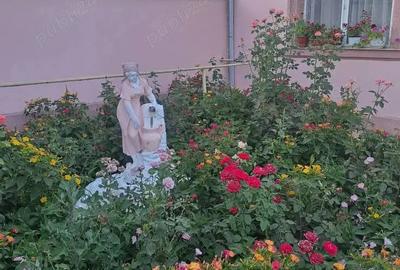 Casă în Central - 4