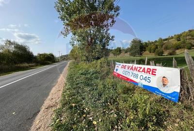 Teren Manastirea Humorului / Strada Principala 22,238 MP - 5