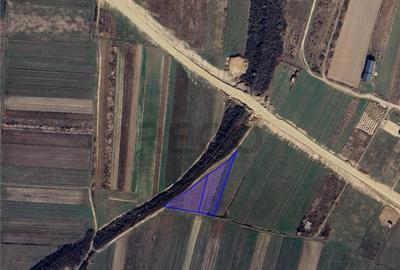 RECO Teren intravilan zona Cordau President - 2