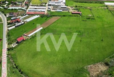 Teren agricol intravilan de 95000 mp, în Băleni-Români