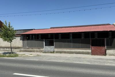 Spațiu comercial, în Satu Nou - 1
