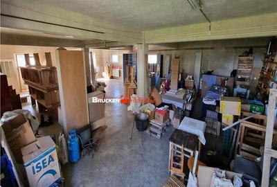 HALA INDUSTRIALA | GHENETEA - 1