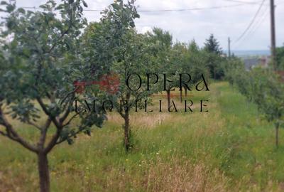 Oportunitate! Teren intravilan, 589 m.p., de vanzare, Letcani - Iasi