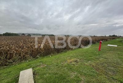 Teren intravilan de vanzare 8000 mp cu utilitati in apropiere - 4