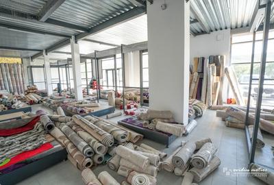 Showroom, birouri si depozit - 9