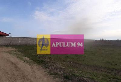 Parcela langa padure in Ilfov - 3