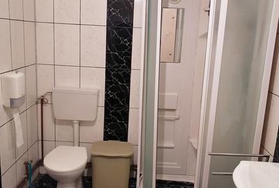 Casă cu 4 camere în Nicolae Bălcescu - 5
