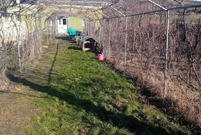 Casă cu 4 camere în Exterior Vest - 5