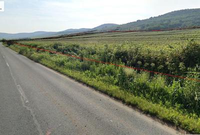 Teren de 185746 mp, în Șiria - 1