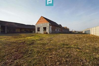 Teren ?i hale pe Calea Aradului din Periam - 1