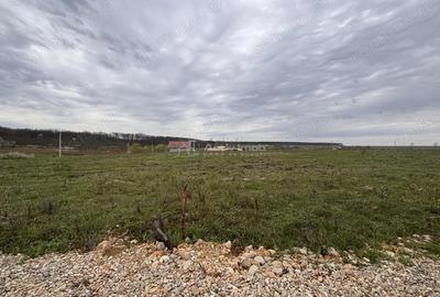 Teren de 500 mp, în Păușa