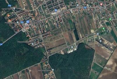 Corbeanca teren intravilan 5000 mp compact deschidere 22 ml, utilitati in zona - 2