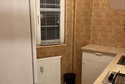 Inchiriere garsoniera Calea Crangasi-Pod-BCR,6/10,balcon,AC,mobilata,350€ - 9