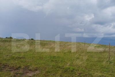 Teren extravilan 1248 mp in Copaceni! Oportunitate investiti - 1