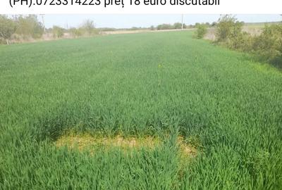 Casă cu 1 camere cu Teren 2200 Mp în Poenari - 1