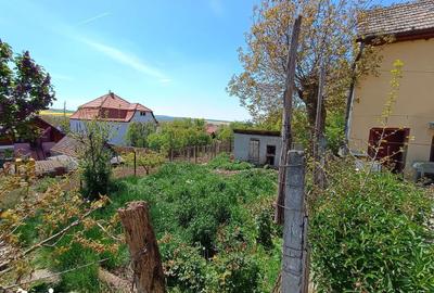 Casă cu 3 camere cu Teren 260 Mp în Central - 12