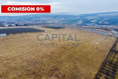 Comision 0% Teren extavilan, 2900 mp, front 11 ml la drumul national,Tureni - 1