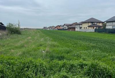 Teren de 3168 mp, în Cosoba - 1