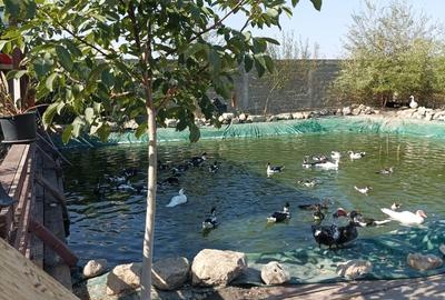 Casă cu 10 camere cu Teren 28000 Mp în Central - 7