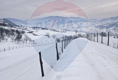 Teren agricol extravilan de 4301 mp, în Bârsana - 5