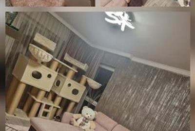 Tractorul, Brasov Tractorul, Brasov - 3