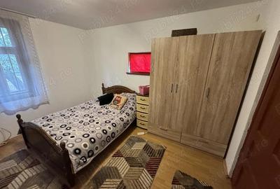 Casa + anexe de vanzare Sat Ro?iori, Comuna Vanatori, Mehedinti - 2