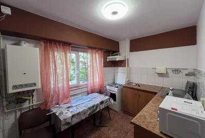 Apartament de inchiriat , 2 camere Decomandate , Intre Lacuri / Iulius Mall - 4