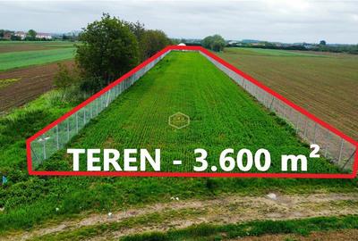 Teren agricol extravilan de 3600 mp, în Est - 3