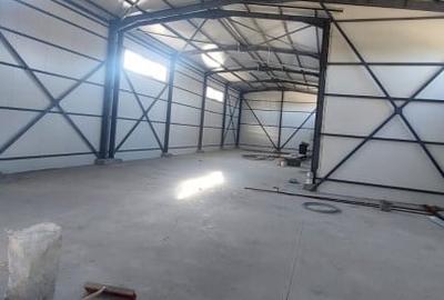 Hala + birouri Izvoare - Chimiei 550mp - 3