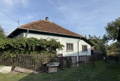 Vand Casa Batraneasca + Teren 1754 mp Com. Malureni Sat Bune?ti Arge? - 8