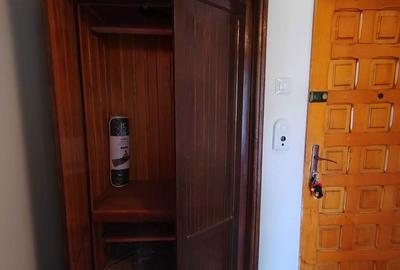 Apartament cu 2 camere semidecomandat în Costin Georgian - 4