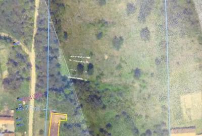 Casă cu 10 camere în Zgribești - 6