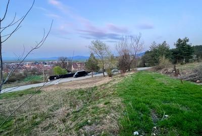 Teren Construcții intravilan de 495 mp, în Poiana Angelescu - 8