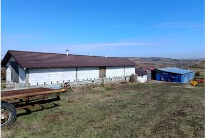 Teren Construcții intravilan de 6500 mp, în Frata - 5