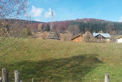 Spațiu comercial, în Trăisteni - 5