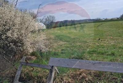 Teren în Santăul Mare - 4