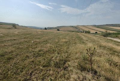 Teren de 5000 mp, în Tureni - 7