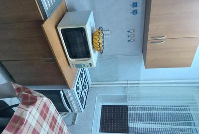 Garsonieră semidecomandată în Brazda lui Novac - 3