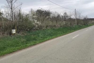 Casă cu 2 camere în Central