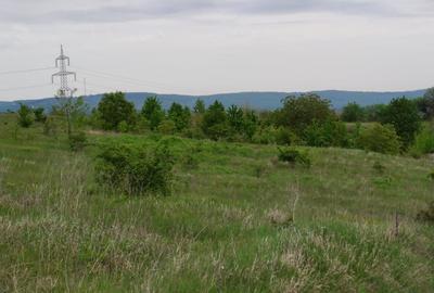 Teren intravilan 1800 mp, Centura-Ciurbesti-dubla deschidere - 6