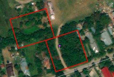 Teren agricol intravilan de 875 mp, în Ciolpani - 2