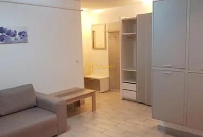 Apartament cu o camera in Tatarasi - 4