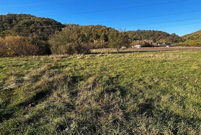 Teren Construcții intravilan de 2754 mp, în Exterior Vest - 4