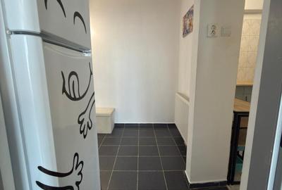 Apartament cu 2 camere decomandat, mobilat în Progresul - 6