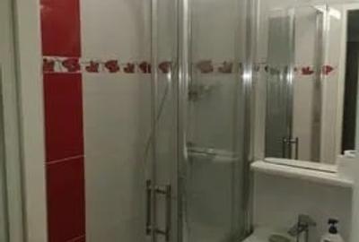 Apartament cu 2 camere, etajul 2/4 zona Podu de Piatra - 7
