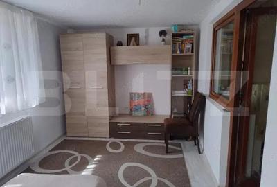 Casa in Teaca cu 4 camere si 10 ari de teren - 9