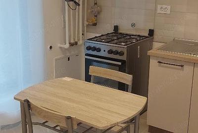 Ofer pentru inchiriere gars cf 1, dec, etaj 3, bloc nou (2024), Exigent Plaza 5, Buc Dr Tab sect 6 - 4